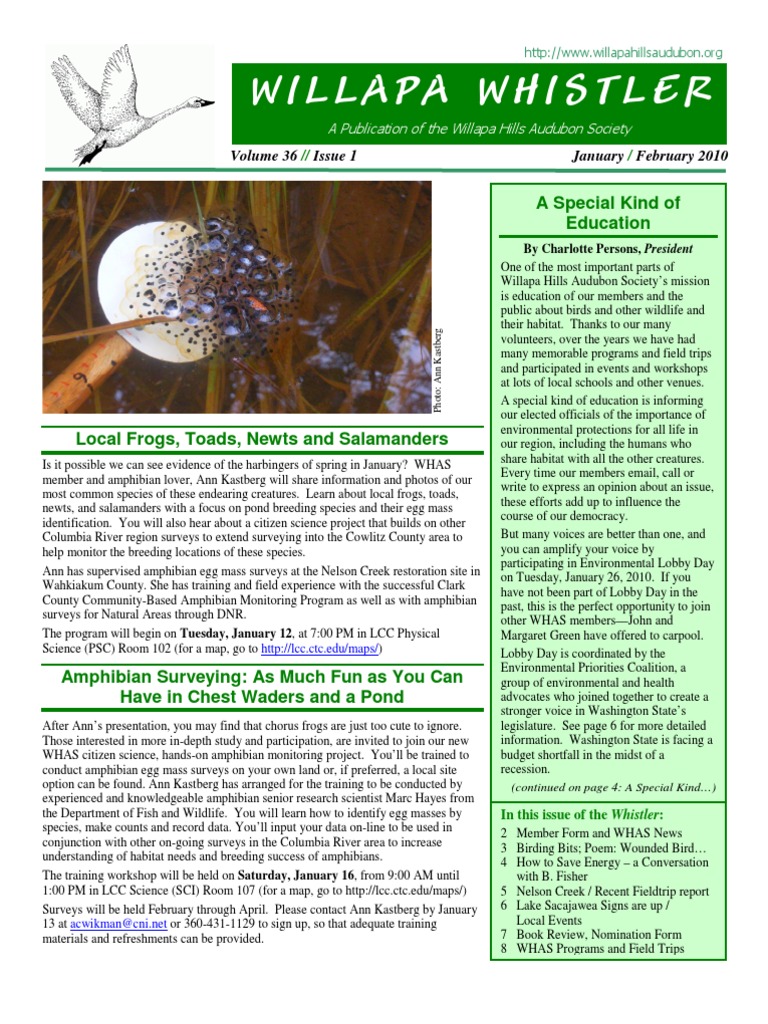 Willapa Whistler: A Special Kind of Education | PDF | Amphibian