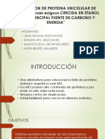 Bioprocesos Diapos Fin