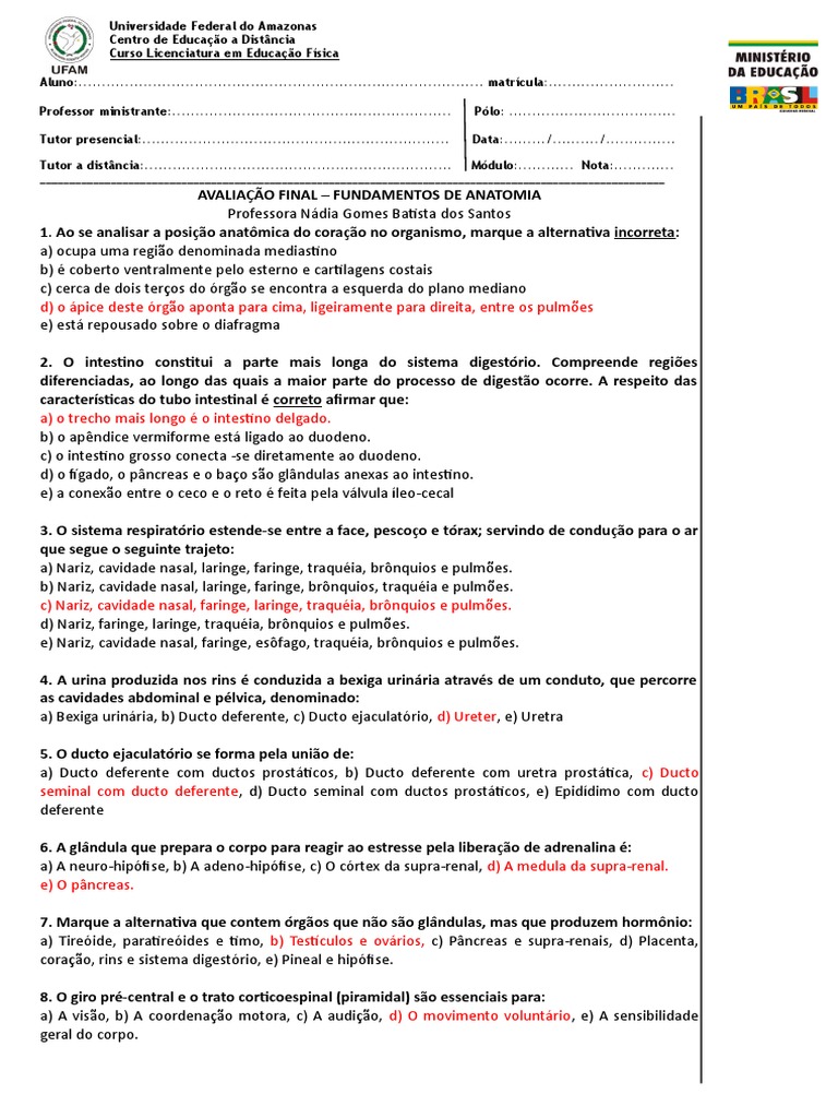 Gabarito Prova Final Anatomia | PDF | Glândula suprarrenal | Anatomia