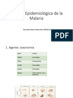 Cadena Epidemiológica de La Malaria