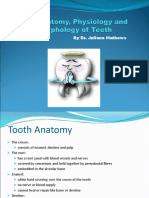 Power Point the Anatomy Physiology and Morphology of Teeth