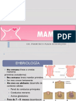 Desarrollo embriológico de la mama