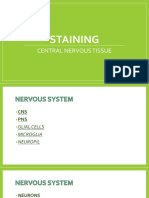 Staining of CNT