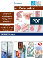 Obstrucción Intestinal