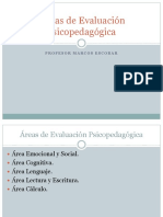 Áreas de Evaluación Psicopedagógica.pptx