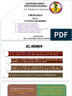 E Spermogram A