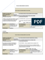 Ficha de Indicadores de Gestion