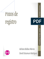 Pozos_Registro.pdf