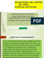 Cultivo Hidroponico