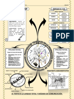 INFOGRAMA - TEXTOS ARGUMENTATIVOS