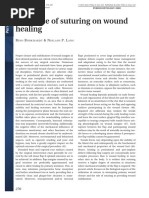 CollaPlug® and CollaTape® Overview | PDF | Dental Implant | Periodontology
