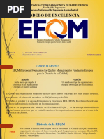 EFQM EXPO Luis Meza UNAMAD