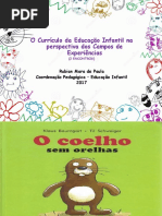 o Currculo Da Educao Infantil Para Slide