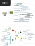 LINDB-em-Mapa-Mental-PDF.pdf