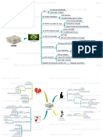 LINDB-em-Mapa-Mental-PDF.pdf