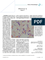 Enterococos 1 PDF