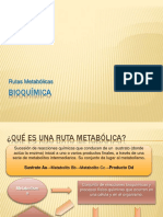 rutasmetabolicas-091122090640-phpapp01.pdf