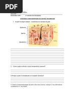 Estudo Dirigido de Sistema Tegumentar