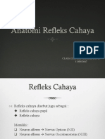 Anatomi Refleks Cahaya