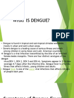 What Is Dengue