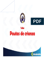 TALLER PAUTAS DE CRIANZA.pdf