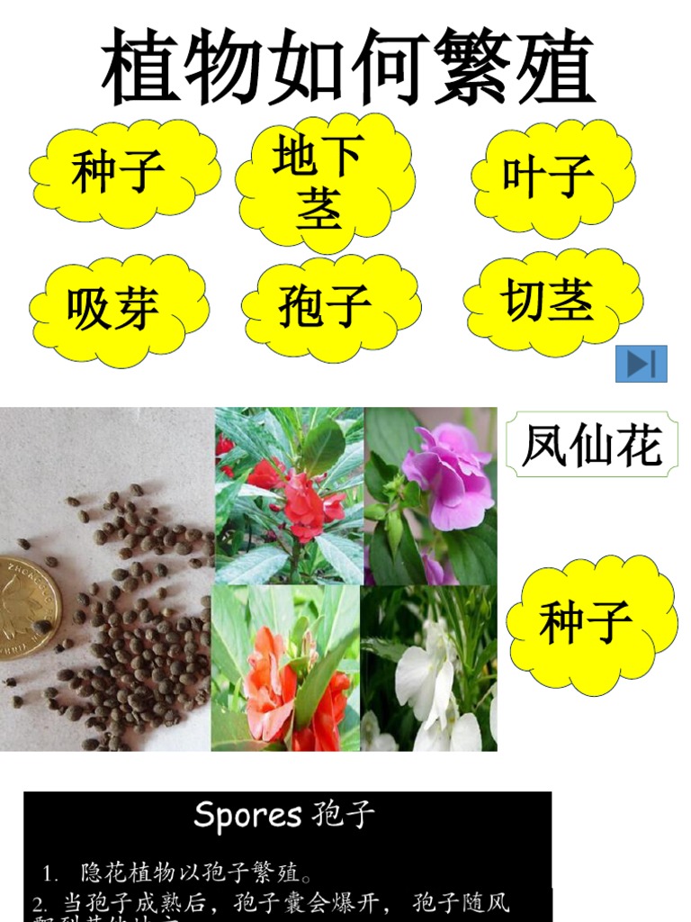 植物如何繁殖