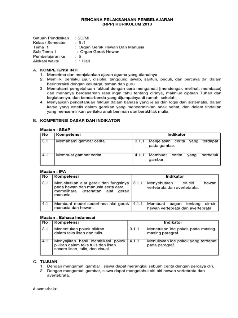 108 Gambar Ilustrasi Hewan Avertebrata HD Terbaru