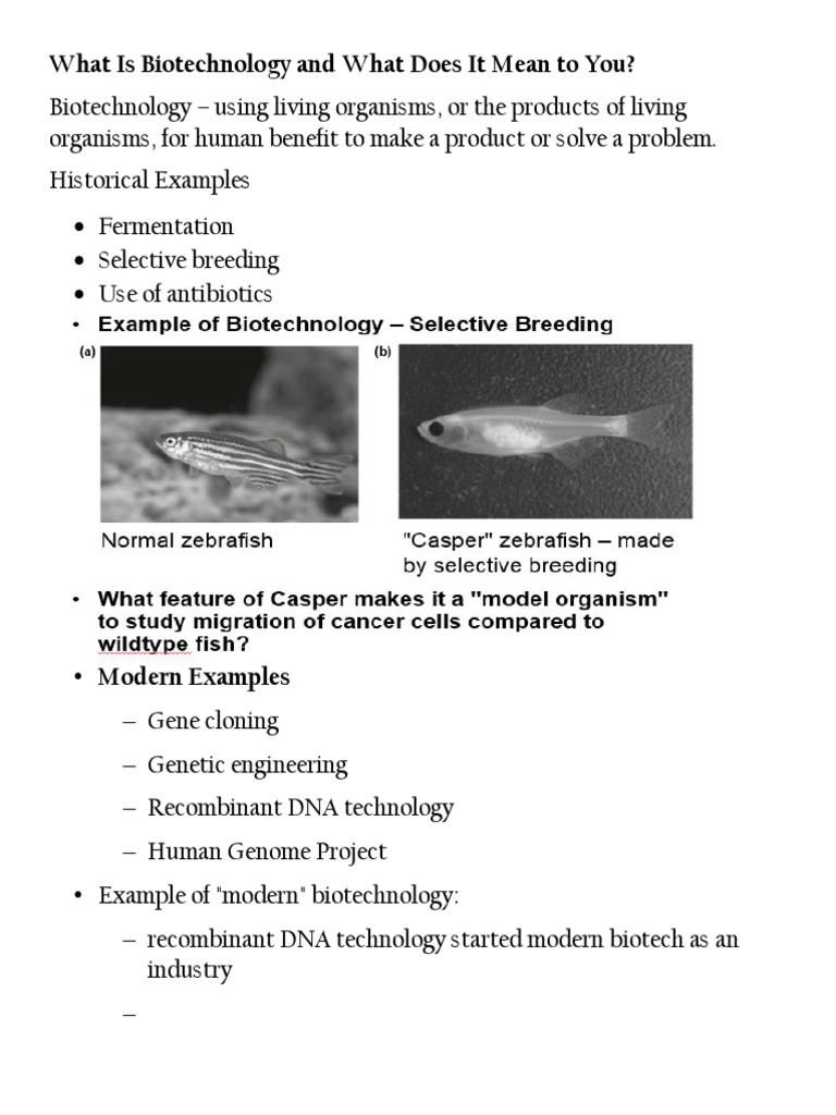 What Is Biotechnology and What Does It PDF
