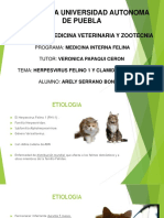 Herpesvirus felino 1 y clamidiasis felina