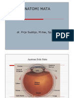 Presentasi Opthalmologi.pdf
