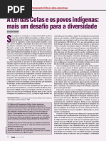 ARTIGO LEI DE COTAS indios.pdf