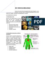 0enfermedades_vesiculobulosas-patatabrava