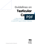 11-Testicular-Cancer_LR1.pdf