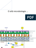 O alta microbiologie.pdf