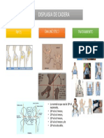 Exposicion de Displasia de Cadera