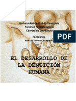 desarrollo denticion.pdf