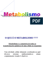 bioenergetica_glicolise_pentose-fosfato.pdf
