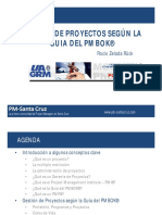 Presentacion PMI.pdf