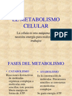 El Metabolismo Celular