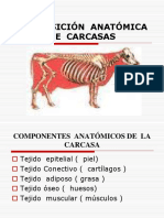 Composición Anatómica de Carcasas