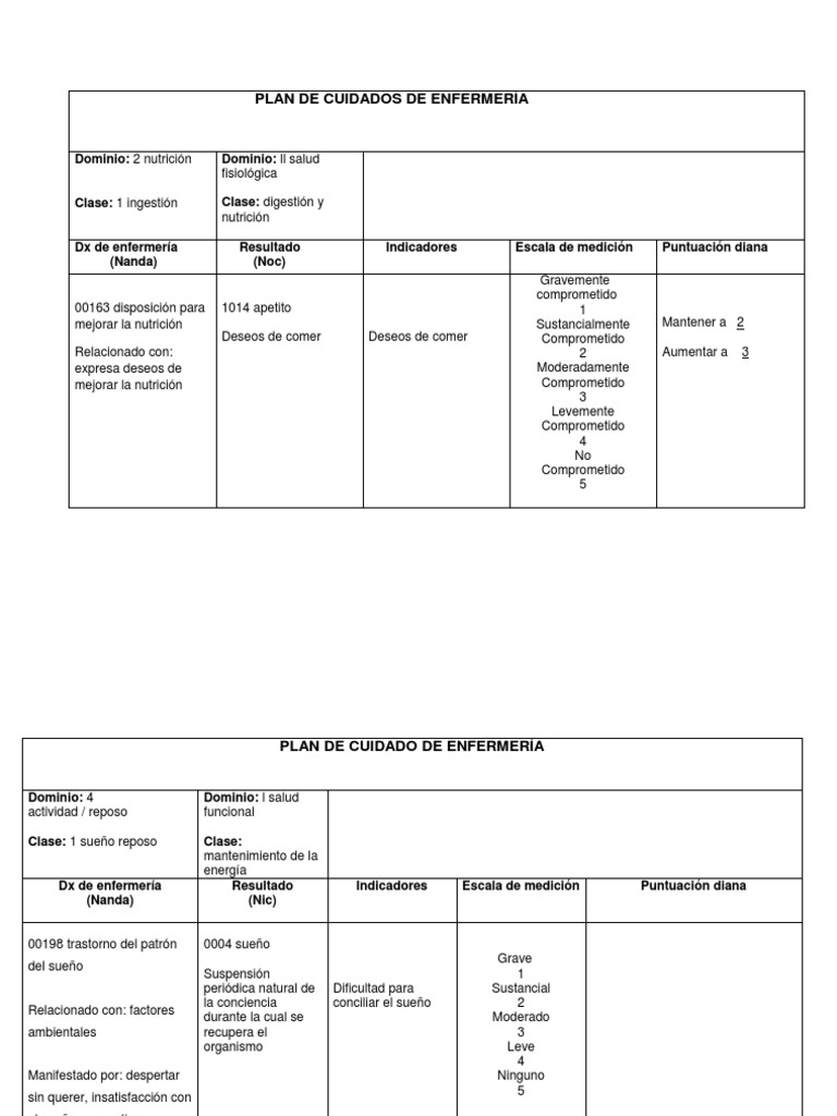 Plan de Cuidados de Enfermería | PDF | Medicina | Especialidades Medicas
