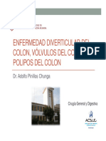 Enfermedades Del Colon PDF