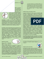 MODULO I. Curriculo.pdf