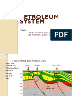 Petroleum System