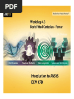 Icem-Intro 14.0 Ws4.3 Femur Bfc