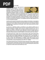 Estado de Arte
