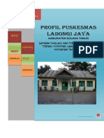 Profil Puskesmas Ladongi Jaya