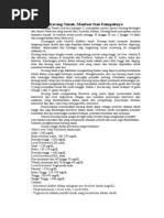 Download Kacang Tanah Manfaat Dan Dampak by Riza CmaniZz Ca SN38455810 doc pdf