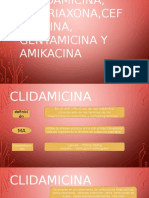 Clindamicina, Ceftriaxona,Cefazolina, Gentamicina y Amikacina-IIIB ANTONY