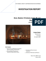 Xcel Energy Report Final PDF